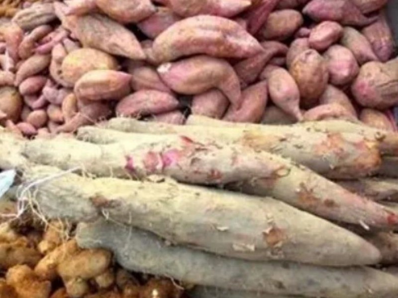 पुसे १५ पर्व मनाइँदै